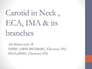Carotid in Neck ,
ECA, IMA & its
branches
-Dr.Malarvizhi. R
MBBS (SRM MCH&RC, Chennai, IN)
DLO (MMC, Chennai, IN)
 