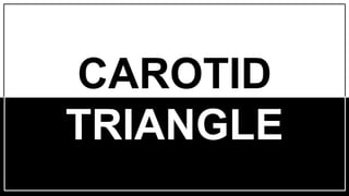 CAROTID
TRIANGLE
 