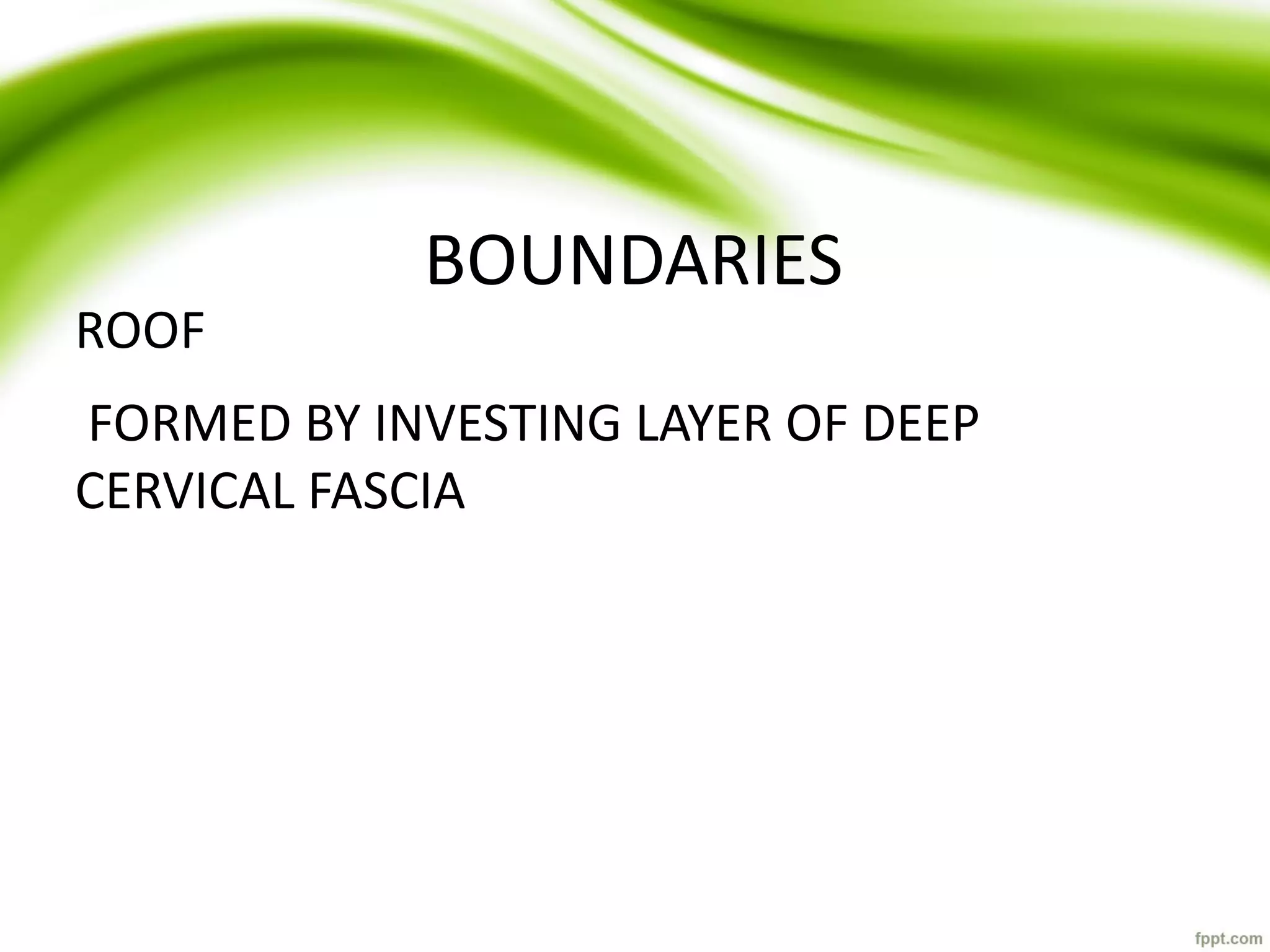 BOUNDARIES
ROOF
FORMED BY INVESTING LAYER OF DEEP
CERVICAL FASCIA
 