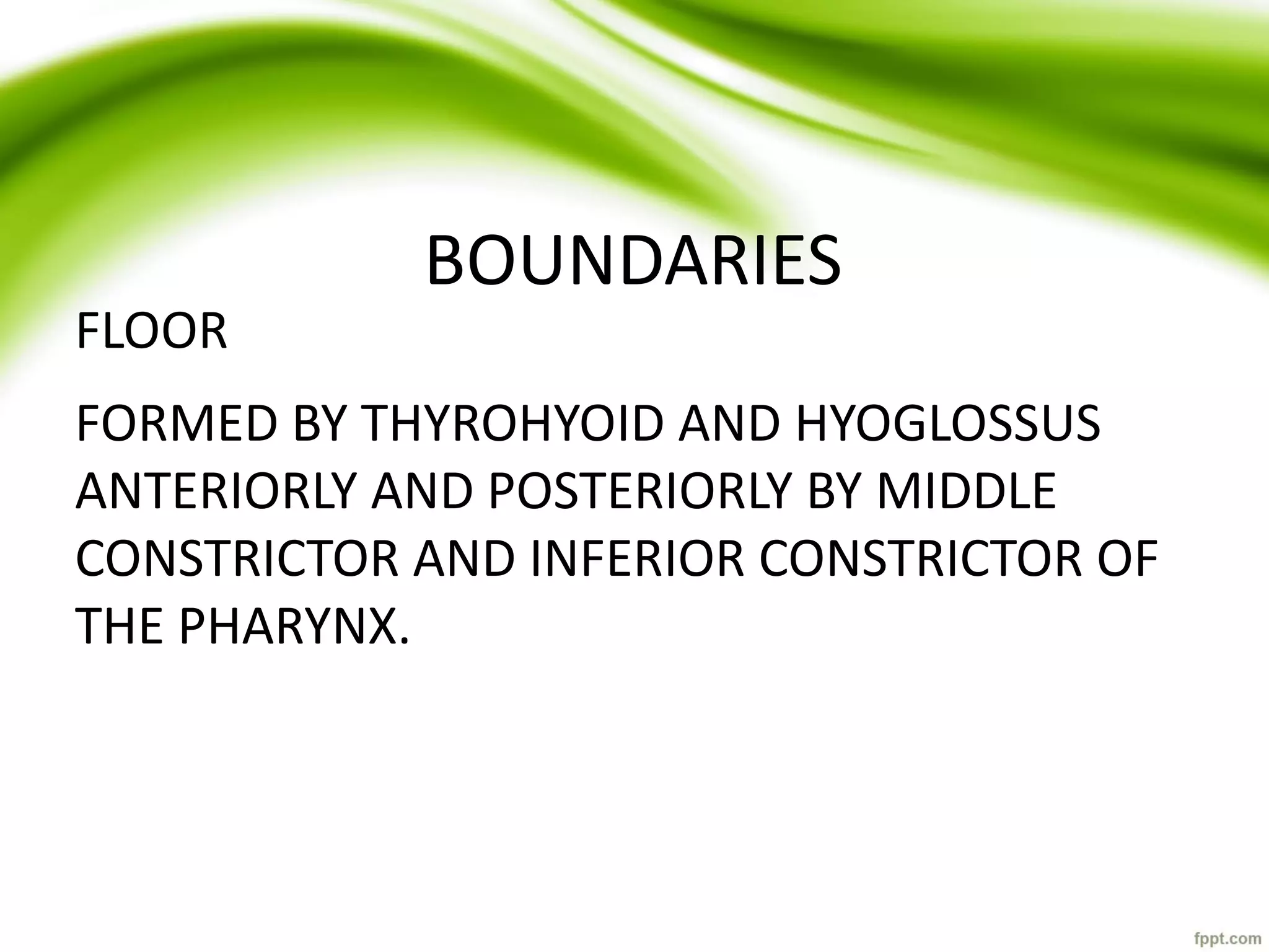 BOUNDARIES
FLOOR
FORMED BY THYROHYOID AND HYOGLOSSUS
ANTERIORLY AND POSTERIORLY BY MIDDLE
CONSTRICTOR AND INFERIOR CONSTRICTOR OF
THE PHARYNX.
 