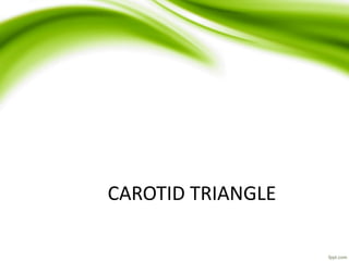 CAROTID TRIANGLE
 