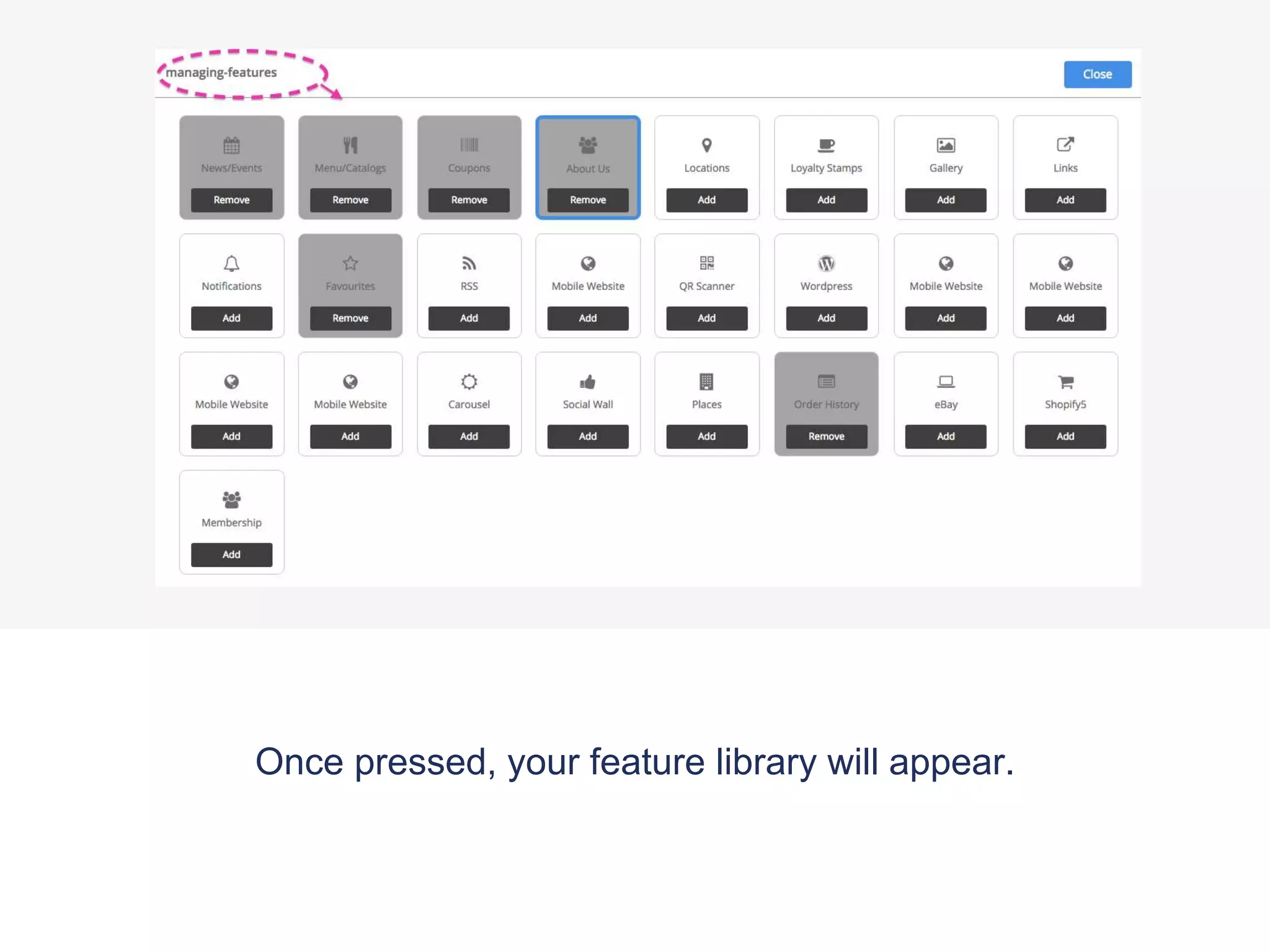 Once pressed, your feature library will appear.
 