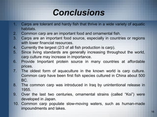Fish Production Conclusion Carp 2012 | PPT