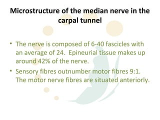 Microstructure of the median nerve in the
              carpal tunnel

• The nerve is composed of 6-40 fascicles with
  an average of 24. Epineurial tissue makes up
  around 42% of the nerve.
• Sensory fibres outnumber motor fibres 9:1.
  The motor nerve fibres are situated anteriorly.
 