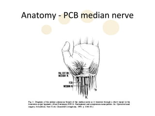 Anatomy - PCB median nerve
 