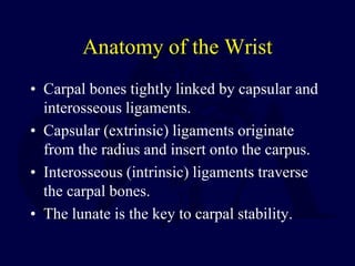Anatomy of the Wrist
• Carpal bones tightly linked by capsular and
interosseous ligaments.
• Capsular (extrinsic) ligaments originate
from the radius and insert onto the carpus.
• Interosseous (intrinsic) ligaments traverse
the carpal bones.
• The lunate is the key to carpal stability.
 