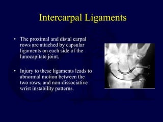 Intercarpal Ligaments
• The proximal and distal carpal
rows are attached by capsular
ligaments on each side of the
lunocapitate joint.
• Injury to these ligaments leads to
abnormal motion between the
two rows, and non-dissociative
wrist instability patterns.
 