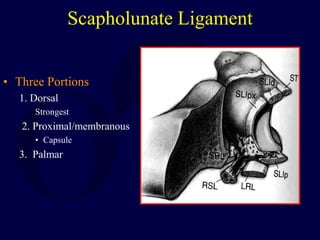 Scapholunate Ligament
• Three Portions
1. Dorsal
Strongest
2. Proximal/membranous
• Capsule
3. Palmar
 