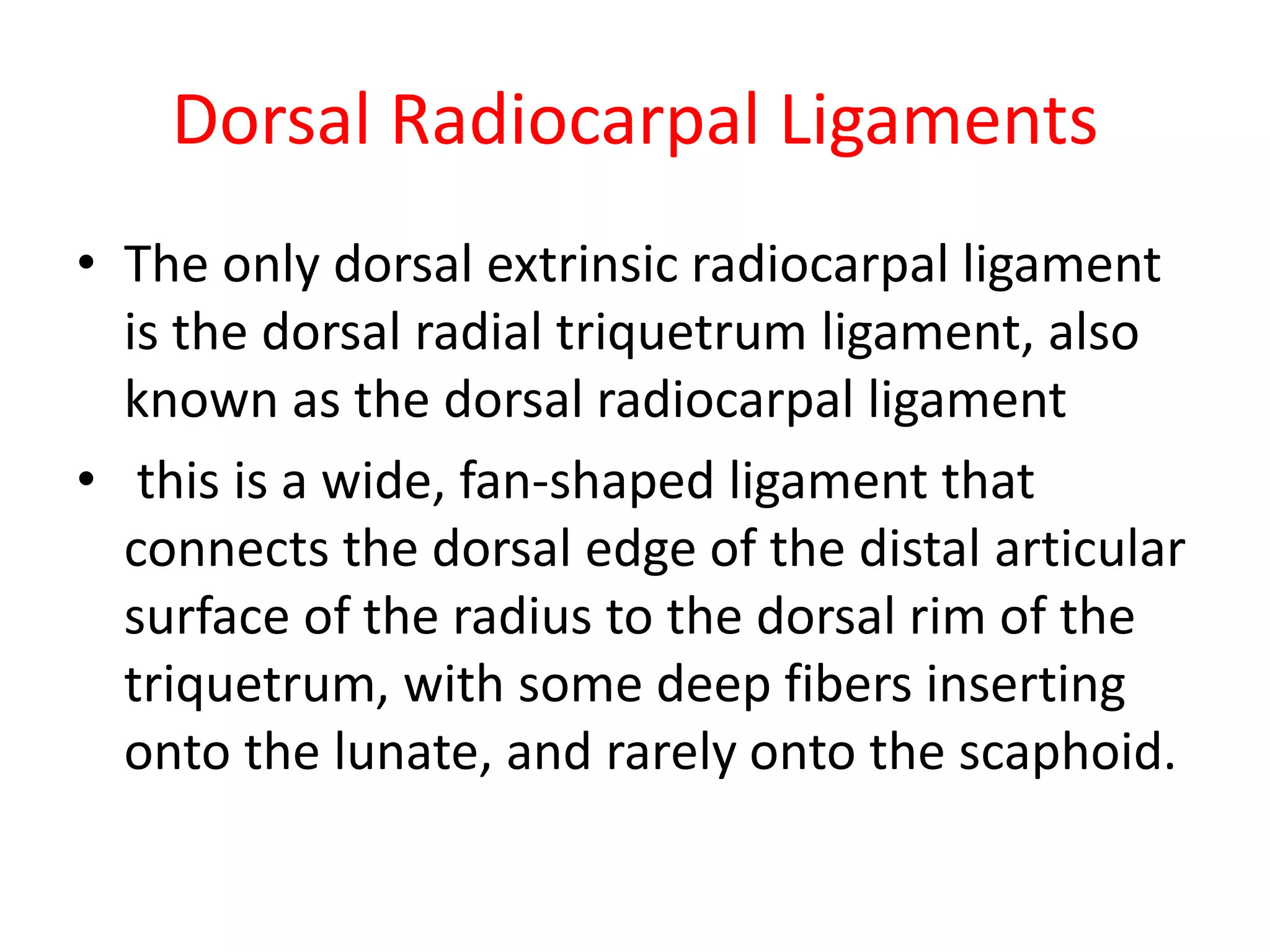 Dorsal Radiocarpal Ligaments
• The only dorsal extrinsic radiocarpal ligament
is the dorsal radial triquetrum ligament, also
known as the dorsal radiocarpal ligament
• this is a wide, fan-shaped ligament that
connects the dorsal edge of the distal articular
surface of the radius to the dorsal rim of the
triquetrum, with some deep fibers inserting
onto the lunate, and rarely onto the scaphoid.
 