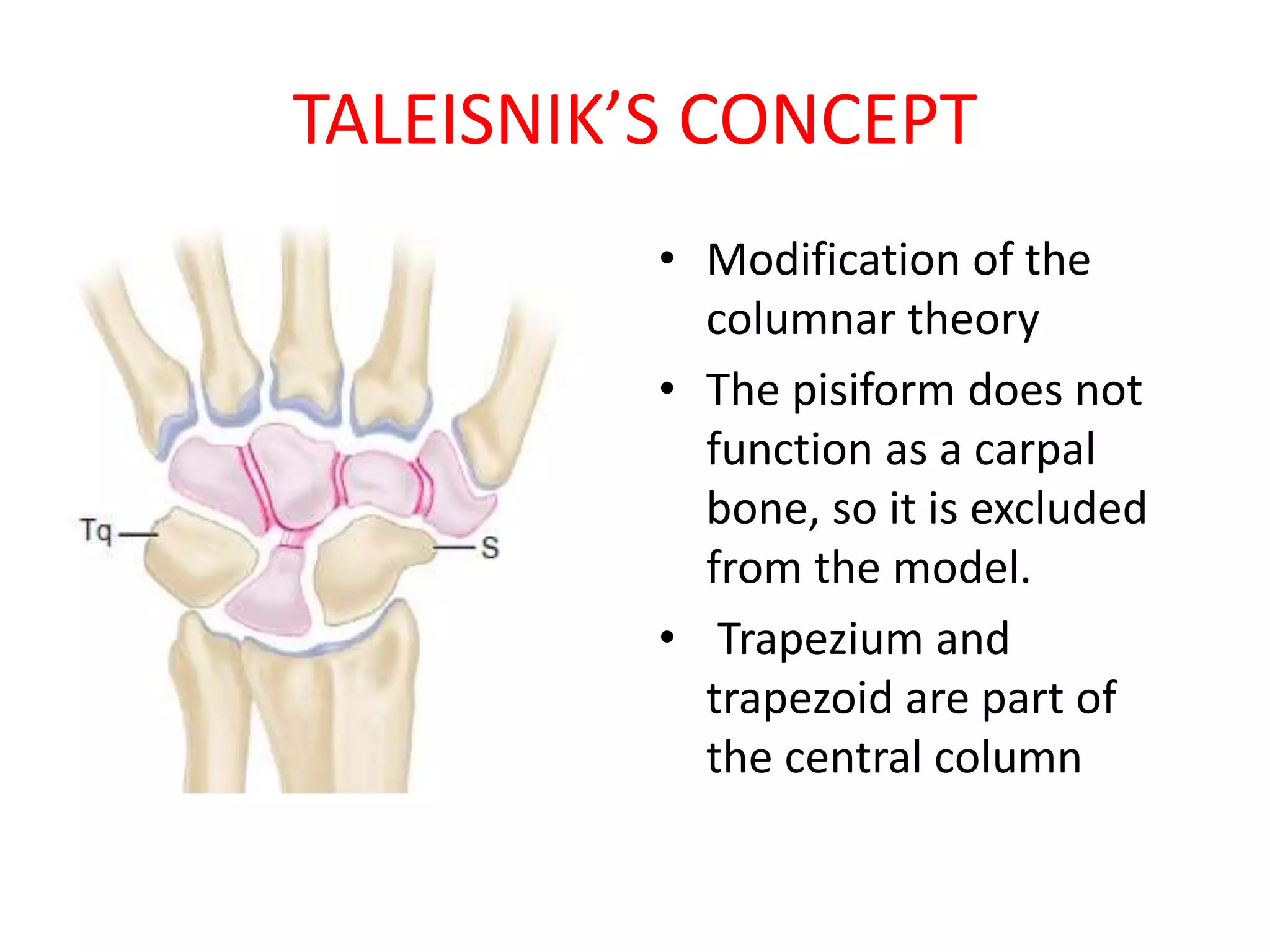 TALEISNIK’S CONCEPT
• Modification of the
columnar theory
• The pisiform does not
function as a carpal
bone, so it is excluded
from the model.
• Trapezium and
trapezoid are part of
the central column
 