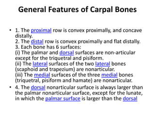 anatomy of wrist and carpal bones | PPTX