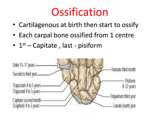 Ossification
• Cartilagenous at birth then start to ossify
• Each carpal bone ossified from 1 centre
• 1st – Capitate , last - pisiform
 