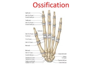 Ossification
 