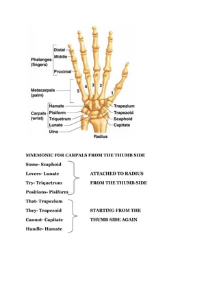MNEMONIC FOR CARPALS FROM THE THUMB SIDE
Some- Scaphoid
Lovers- Lunate ATTACHED TO RADIUS
Try- Triquetrum FROM THE THUMB SIDE
Positions- Pisiform
That- Trapezium
They- Trapezoid STARTING FROM THE
Cannot- Capitate THUMB SIDE AGAIN
Handle- Hamate
 