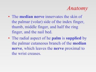 Anatomy
• The median nerve innervates the skin of
the palmar (volar) side of the index finger,
thumb, middle finger, and h...