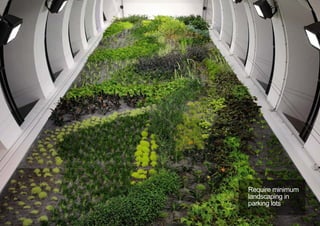 Require minimum
landscaping in
parking lots
< <
 