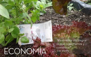 ECONOMÍA
“Realmente da alegria
lo que cosechamos y
comemos”
-Luz Marina
 