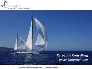 Carpathia Consulting
- unser Unternehmen
 