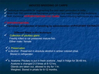 INDUCED BREEDING OF CARPS

Technique responsible for augmenting the carp seed production in India.
More than 500 commercial hatcheries producing carp seed through this technique.
Both traditional HYPOPHYSATION AND GnRH based inducing techniques are used
HYPOPHYSATION-
Technique of induction of breeding by administration of PITUITARY EXTRACTS
        Different Steps in the technique
1. Collection of pituitary gland.
   Freshly killed or ice preserved mature fish.
   Either male / female

 2. Preservation
 a.Alcohol : Preserved in absolute alcohol in amber colored phial.
     Stored in refrigerator.

 b. Acetone: Pituitary is put in fresh acetone , kept in fridge for 36-48 hrs.
      Acetone is changed 2-3 times at 8-12 hrs.
      Glands are taken out, allowed to dry for 1 hr.
      Weighed. Stored in phials for 6-12 months.
 