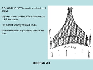 A SHOOTING NET is used for collection of
spawn.

•Spawn, larvae and fry of fish are found at
  3-6 feet depth,

• at current velocity of 0.5-3 km/hr.

•current direction is parallel to bank of the
river.




                                SHOOTING NET
 