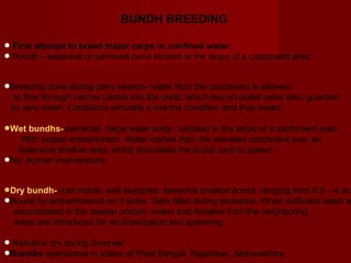 BUNDH BREEDING

• First attempt to breed major carpslocated at thewater.of a catchment area.
                                     in confined
• Bundh – seasonal or perrenial pond              slope


•Breeding done during rainy season-the pond, which catchment is allowed guarded
  to flow through narrow canals into
                                     water from the
                                                    has an outlet valve also,
    by wire mesh. Conditions simulate a riverine condition and they breed.

•Wet bundhs- perrenial , largeWater rushes, from the in the slope of a catchment area
   With proper embankment.
                               water body situated
                                                      elevated catchment over an
  extensive shallow area, which stimulates the brood carp to spawn .
•No human interventions.


•Dry bundh- man made, well3designed. seasonal shallow ponds ,ranging from 0.5wateracr
                                                                              –4
•Bound by embankments on portion, malesfilled during monsoon. When sufficient is
  accumulated in the deeper
                            sides. Gets
                                         and females from the neighboring
    areas are introduced for acclimatization and spawning.

•Bundhs operational Summer.of West Bengal, Rajasthan, Maharashtra.
  Remains dry during
•                    in states
 