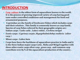 INTRODUCTION
 Carp culture is the oldest form of aquaculture known to the world .
It is the process of growing improved variety of carp having good
taste under controlled conditions and management for food and
ornamental purposes.
 Cyprinidae are the family of freshwater fishes which includes carps
and their relatives . This family is commonly known as carp family .
Species of carp fishes referred by their geographic origins are :
Indian carps : Catla catla , Labeo rohita , Cirrhina mrigal
 Exotic carps : Cyprinus carpio ,Hypopthalmichthys molitrix (silver
carp )
 Minor carps : Labeo bata
 Carps have been the backbone of aquaculture practice in India and it
is the three Indian major carps Catla , Rohu and Mrigal together with
three other exotic carps silver carp , grass carp , and common carp
contribute over 85 % of the aquaculture production of the country .
 