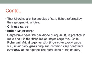 Comprehensive Guide to Carp Culture: Practices, Species, and Pond ...