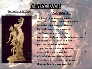 Soneto XIII A Dafne ya los brazos le crecían,  1 y en luengos ramos vueltos se mostraban;  en verdes hojas vi que se tornaban  los cabellos que el oro escurecían.  De áspera corteza se cubrían  5  los tiernos miembros, que aún bullendo estaban:  los blancos pies en tierra se hincaban,  y en torcidas raíces se volvían.  Aquel que fue la causa de tal daño,  a fuerza de llorar, crecer hacía  10 este árbol que con lágrimas regaba.  ¡Oh miserable estado! ¡Oh mal tamaño!  ¡Que con llorarla crezca cada día! CARPE DIEM Garcilaso de la Vega   
