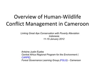 Overview of Human-Wildlife Conflict Management in Cameroon Linking Great Ape Conservation with Poverty Alleviation   Indonesia  11-15 January 2012  Antoine Justin Eyebe Central Africa Regional Program for the Environment ( CARPE ) Forest Governance Learning Group ( FGLG ) - Cameroon 