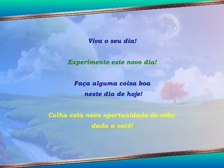 Viva o seu dia! Experimente este novo dia! Faça alguma coisa boa neste dia de hoje! Colha esta nova oportunidade de vida  dada a você! 