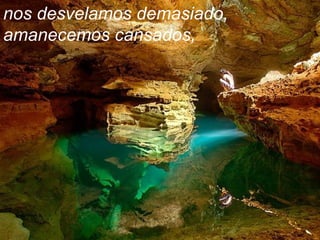 nos desvelamos demasiado,
amanecemos cansados,
 