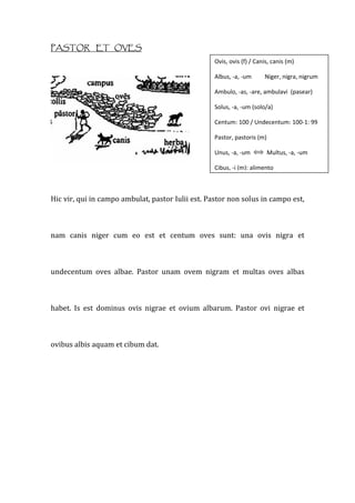 PASTOR ET OVES
                                                      Ovis, ovis (f) / Canis, canis (m) 

                                                      Albus, ‐a, ‐um         Niger, nigra, nigrum 

                                                      Ambulo, ‐as, ‐are, ambulavi  (pasear) 

                                                      Solus, ‐a, ‐um (solo/a) 

                                                      Centum: 100 / Undecentum: 100‐1: 99 

                                                      Pastor, pastoris (m) 

                                                      Unus, ‐a, ‐um         Multus, ‐a, ‐um 

                                                      Cibus, ‐i (m): alimento 



Hic vir, qui in campo ambulat, pastor Iulii est. Pastor non solus in campo est, 



nam  canis  niger  cum  eo  est  et  centum  oves  sunt:  una  ovis  nigra  et 



undecentum  oves  albae.  Pastor  unam  ovem  nigram  et  multas  oves  albas 



habet.  Is  est  dominus  ovis  nigrae  et  ovium  albarum.  Pastor  ovi  nigrae  et 



ovibus albis aquam et cibum dat.  
 