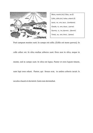 Mons, montis (m) / Silva, ‐ae (f) 

                                                    Collis, collis (m) / arbor, arboris (f) 

                                                    Iaceo, ‐es, ‐ere, iacui… (tumbarse) 

                                                    Claudo, ‐is, ‐ere, clausi… (cerrar) 

                                                    Dormio, ‐is, ‐ire, dormivi… (dormir) 

                                                    Timeo, ‐es, ‐ere, timui… (temer) 



Post campum montes sunt. In campo est collis. (Collis est mons  parvus). In 



colle  arbor  est.  In  silva  multae  arbores  sunt.  Oves  non  in  silva,  neque  in 



monte,  sed  in  campo  sunt.  In  silva  est  lupus.  Pastor  et  oves  lupum  timent, 



nam  lupi  oves  edunt.    Pastor,  qui    fessus  erat,    in  umbra  arboris  iacuit.  Is 



occulos clausit et dormivit. Canis non dormiebat.  




 



 



 



 
 