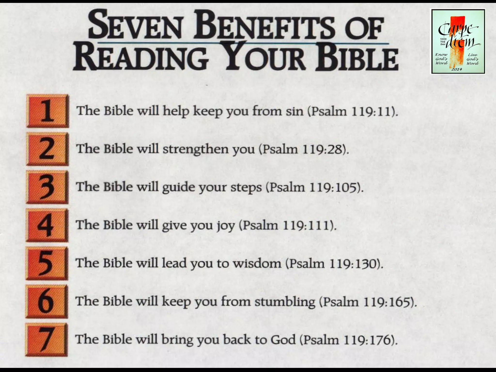 Carpe diem challenge   sunday dec 8, 2014