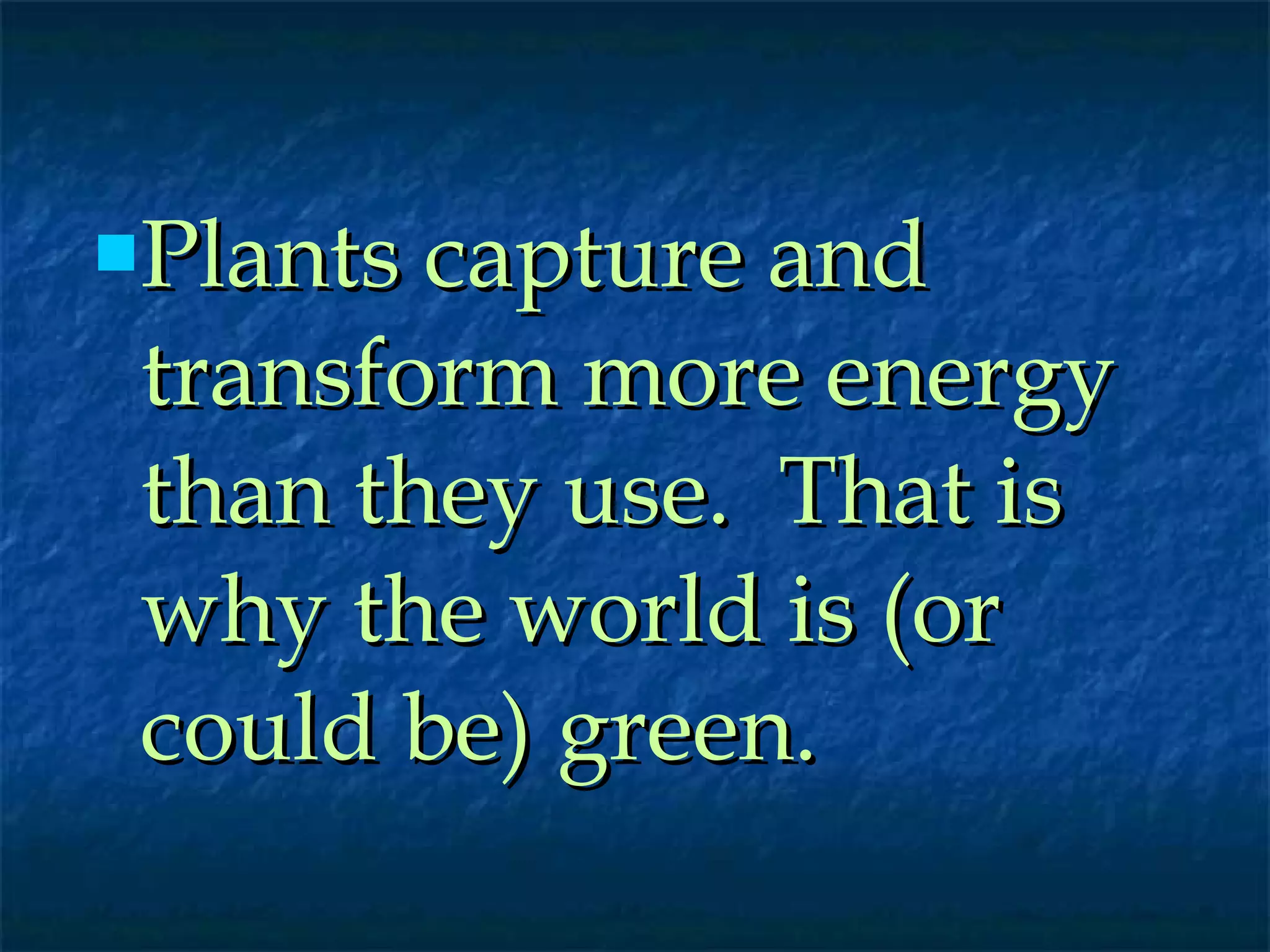 Plants capture and transform more energy than they use.  That is why the world is (or could be) green. 