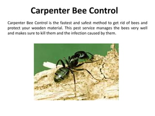 Carpenter Bee Control
Carpenter Bee Control is the fastest and safest method to get rid of bees and
protect your wooden material. This pest service manages the bees very well
and makes sure to kill them and the infection caused by them.
 