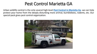 Pest Control Marietta GA
Urban wildlife control is the only several high-level Pest Control in Marietta Ga. we can help
protect your home from the deeply disturbing more animal, bumblebees, rodents, etc. Our
special pack gives pest control organization.
 