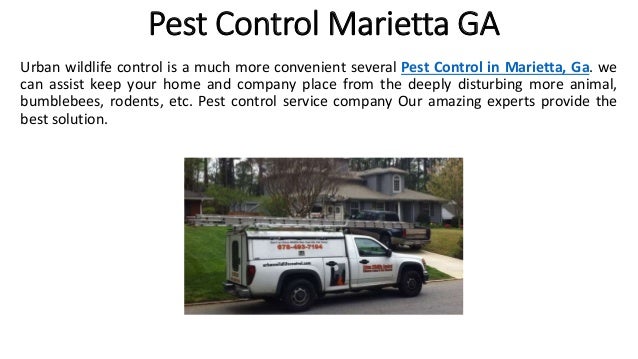 Pest Control Marietta GA
Urban wildlife control is a much more convenient several Pest Control in Marietta, Ga. we
can assist keep your home and company place from the deeply disturbing more animal,
bumblebees, rodents, etc. Pest control service company Our amazing experts provide the
best solution.
 