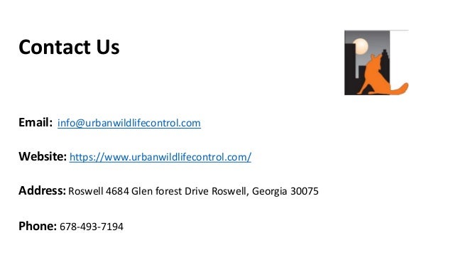 Contact Us
Email: info@urbanwildlifecontrol.com
Website: https://www.urbanwildlifecontrol.com/
Address: Roswell 4684 Glen forest Drive Roswell, Georgia 30075
Phone: 678-493-7194
 