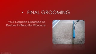 Your Carpet Is Groomed To
Restore Its Beautiful Vibrance.
Renewed Vibrance
 