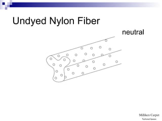Undyed Nylon Fiber
neutral
Technical Session
 
