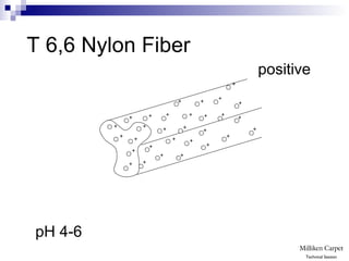 T 6,6 Nylon Fiber
positive
+
+
+
+
+
+
+
+ +
+
+
+
+
+
+
+
+
+
+
+
+ +
+
+
+
+
+
+
+
+
pH 4-6
Technical Session
 