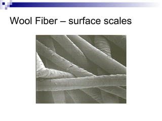 Wool Fiber – surface scales
 