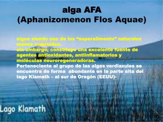 alga AFA
(Aphanizomenon Flos Aquae)
sigue siendo uno de los “superalimento” naturales
menos conocidos.
sin embargo, constituye una excelente fuente de
agentes antioxidantes, antiinflamatorios y
moléculas neuroregeneradoras.
Perteneciente al grupo de las algas verdiazules se
encuentra de forma abundante en la parte alta del
lago Klamath – al sur de Oregón (EEUU)-
 