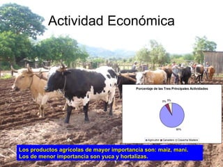 Actividad Económica Los productos agrícolas de mayor importancia son: maíz, maní. Los de menor importancia son yuca y hortalizas.