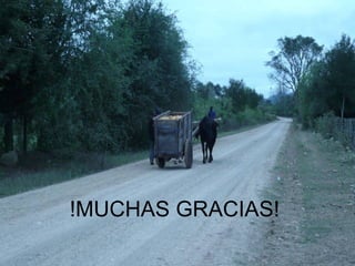 !MUCHAS GRACIAS!