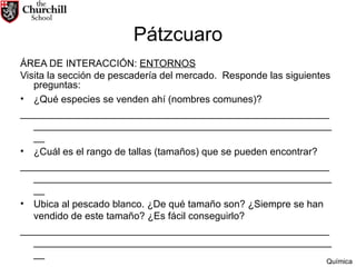 Pátzcuaro ÁREA DE INTERACCIÓN:  ENTORNOS Visita la sección de pescadería del mercado.  Responde las siguientes preguntas: ¿Qué especies se venden ahí (nombres comunes)? ________________________________________________________ ________________________________________________________ ¿Cuál es el rango de tallas (tamaños) que se pueden encontrar? ________________________________________________________ ________________________________________________________ Ubica al pescado blanco. ¿De qué tamaño son? ¿Siempre se han vendido de este tamaño? ¿Es fácil conseguirlo? ________________________________________________________ ________________________________________________________ Química 