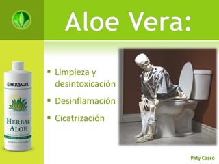 Aloe Vera:
 Limpieza y
  desintoxicación
 Desinflamación
 Cicatrización


                    Paty Casso
 