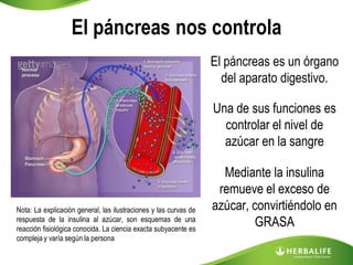 El páncreas nos controla
                                                                  El páncreas es un órgano
                                                                    del aparato digestivo.

                                                                  Una de sus funciones es
                                                                    controlar el nivel de
                                                                    azúcar en la sangre

                                                                    Mediante la insulina
                                                                   remueve el exceso de
Nota: La explicación general, las ilustraciones y las curvas de   azúcar, convirtiéndolo en
respuesta de la insulina al azúcar, son esquemas de una
reacción fisiológica conocida. La ciencia exacta subyacente es
                                                                           GRASA
compleja y varía según la persona
 