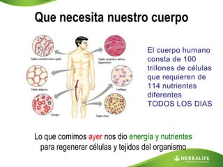 Que necesita nuestro cuerpo




Lo que comimos ayer nos dio energía y nutrientes
  para regenerar células y tejidos del organismo
 